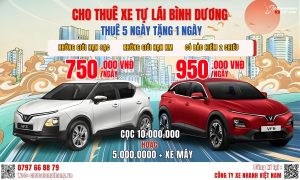 SIÊU DEAL THUÊ XE TỰ LÁI TẠI BÌNH DƯƠNG