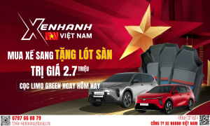 CỌC LIMO GREEN NGAY HÔM NAY – NHẬN ƯU ĐÃI & QUÀ TẶNG